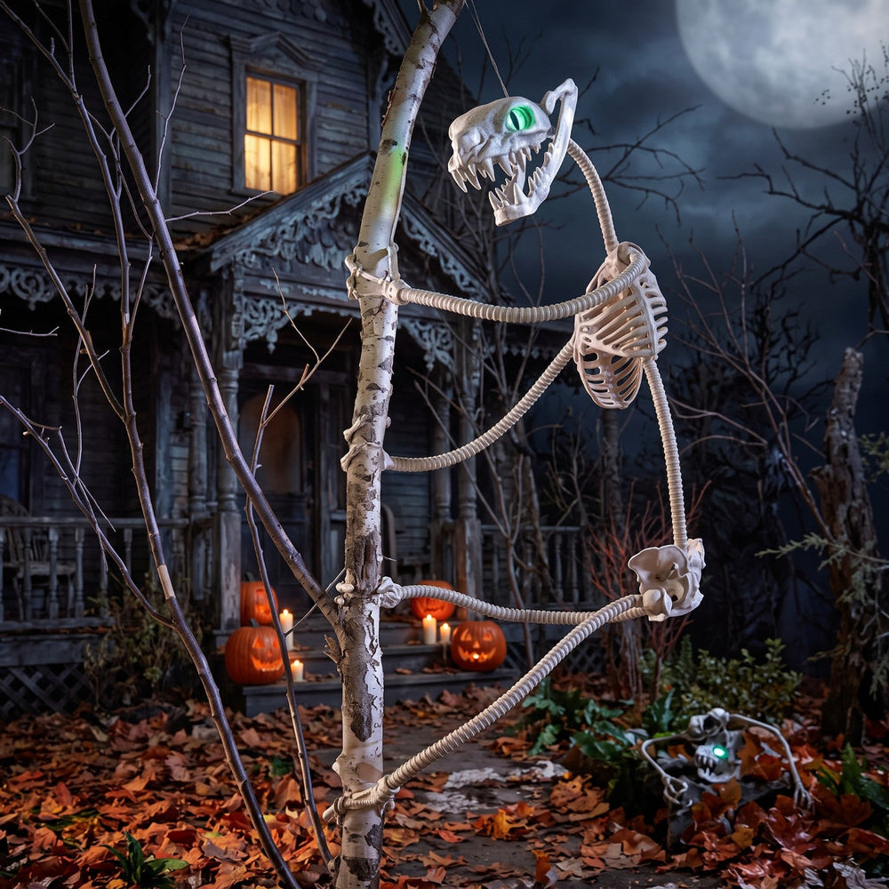 5.5 FT Grave & Bones Wrap-Around Skeleton / Constrictor Skeleton