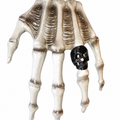 Skull ring accessory on 12 Foot Skeleton hand with white background