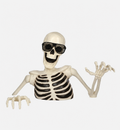 Groundbreaker Skeleton shutter glasses in black