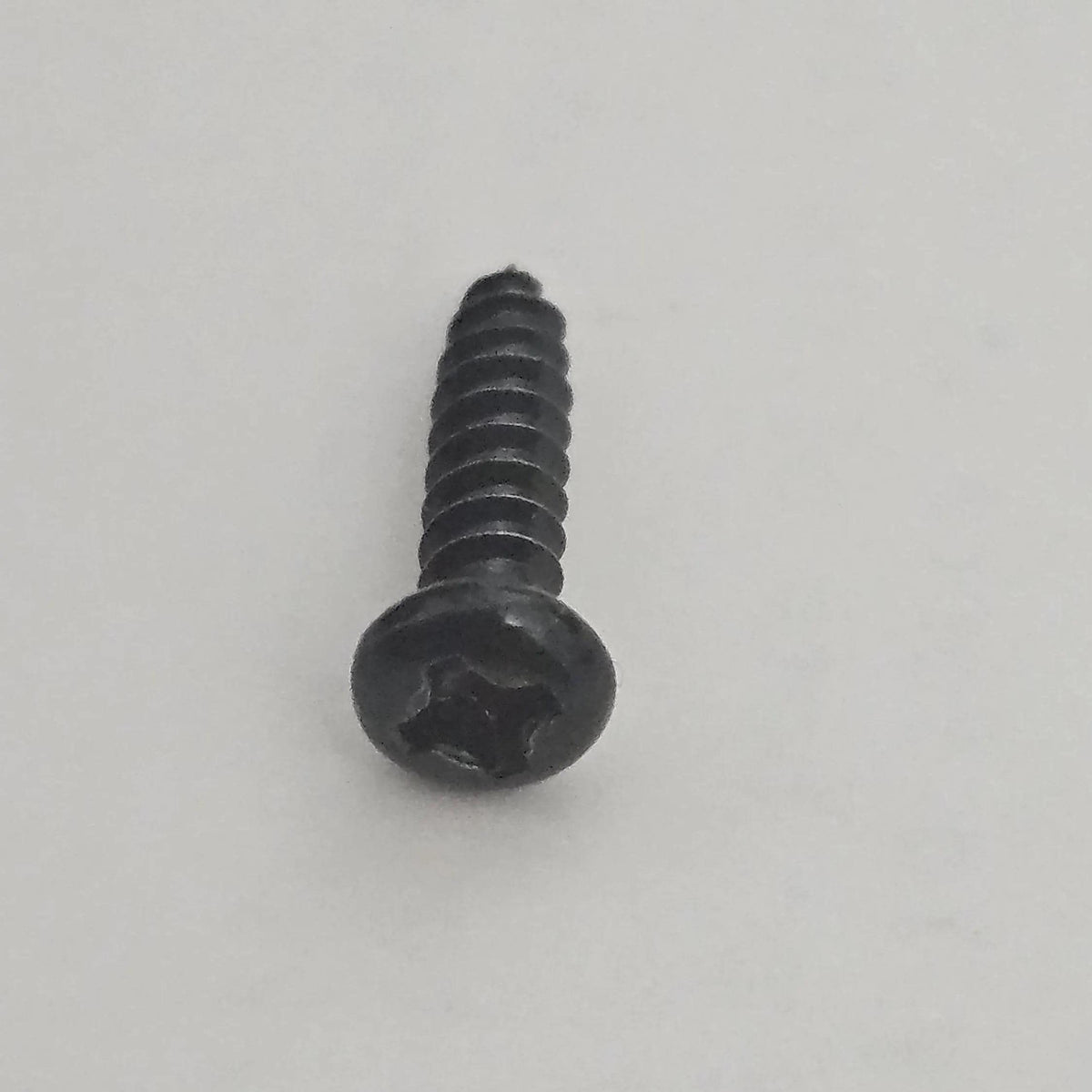 12 Foot Skeleton Replacement Bracket Screws, Set of 20 - product image 3