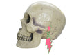 Set of 2 80's Retro Giant Earring Prop Accessory for 12-Foot Skeleton Halloween Custom